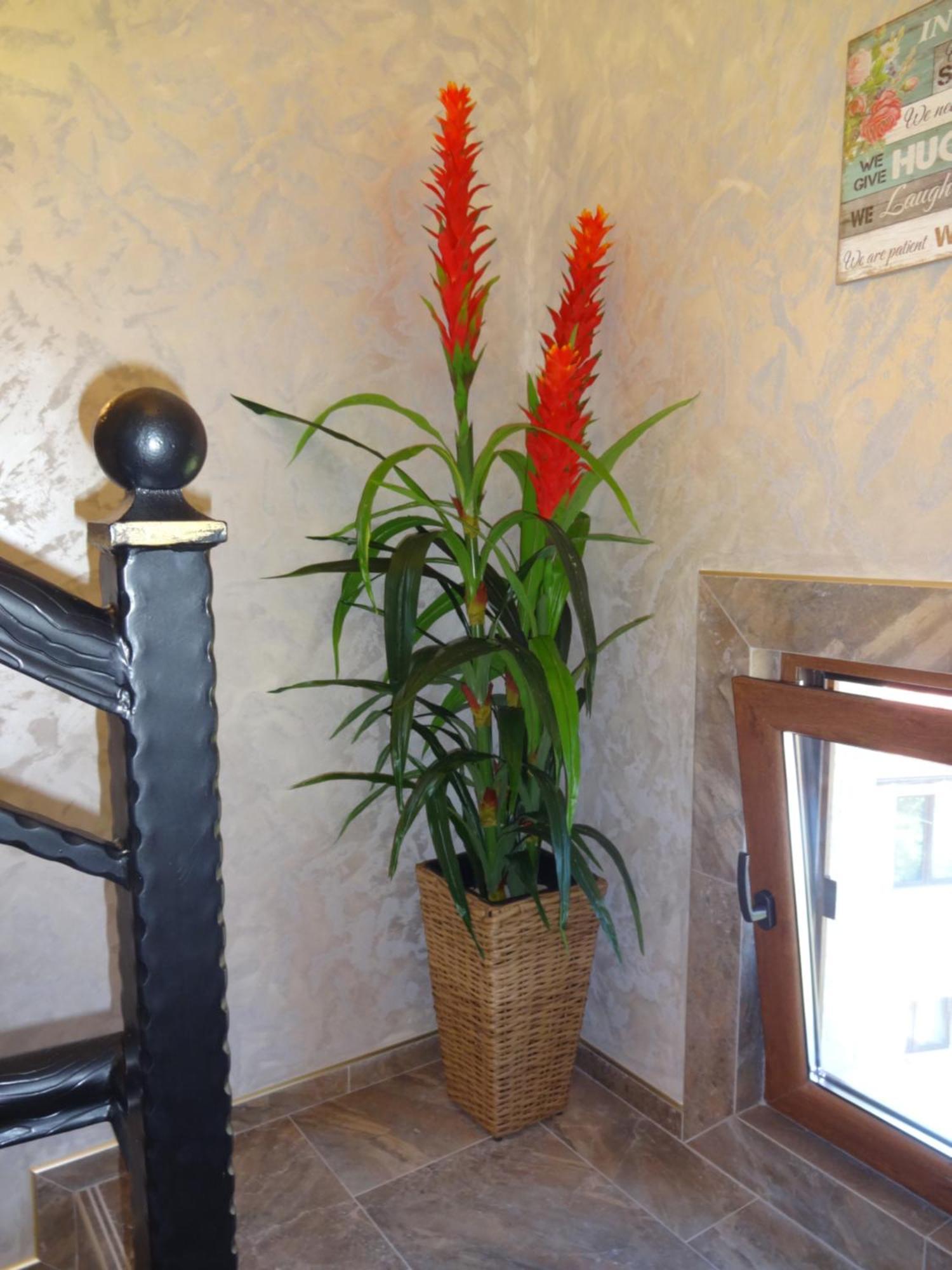 Apartments Dona Chernomorets Bagian luar foto